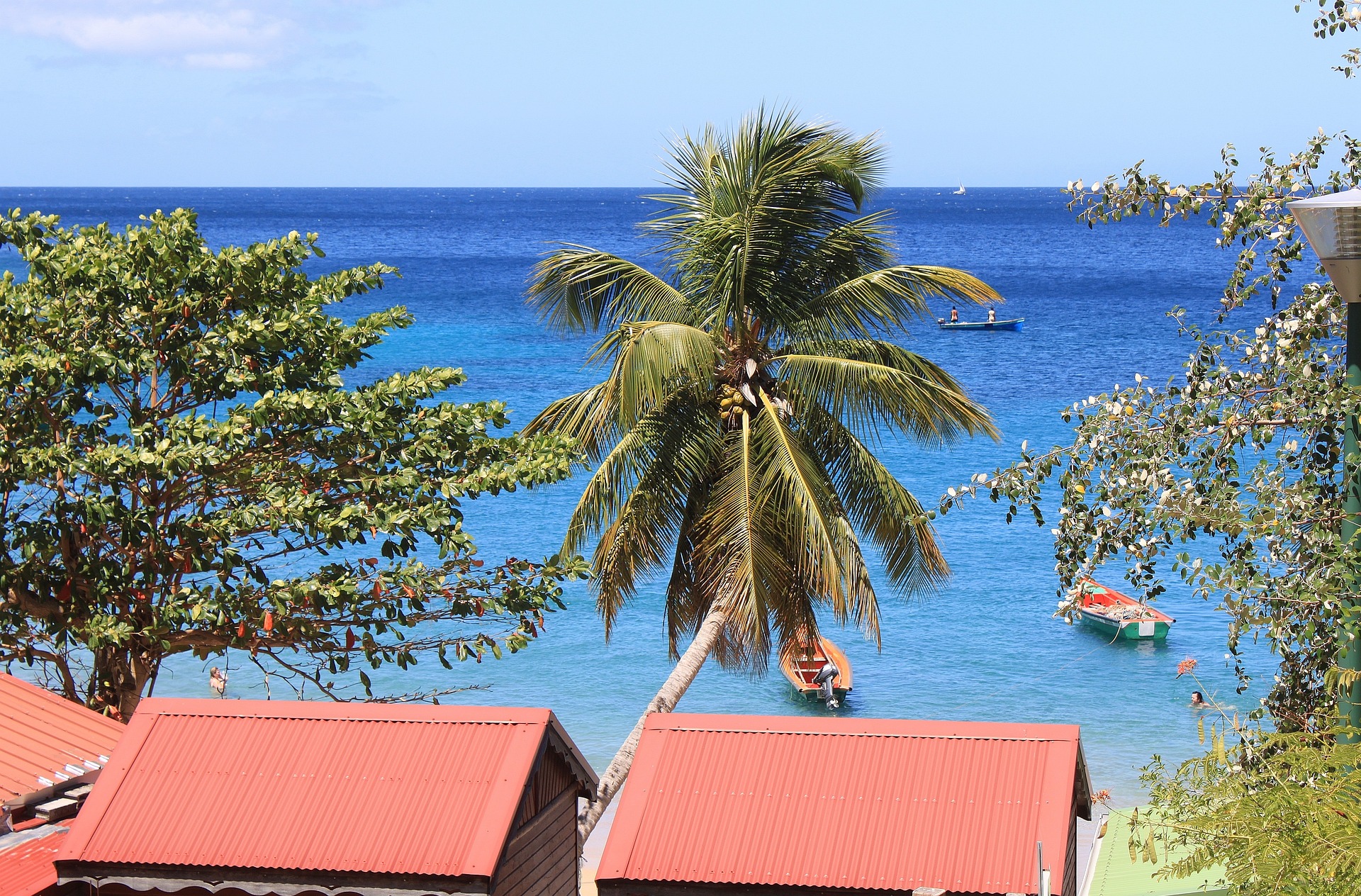 Paysage Martinique